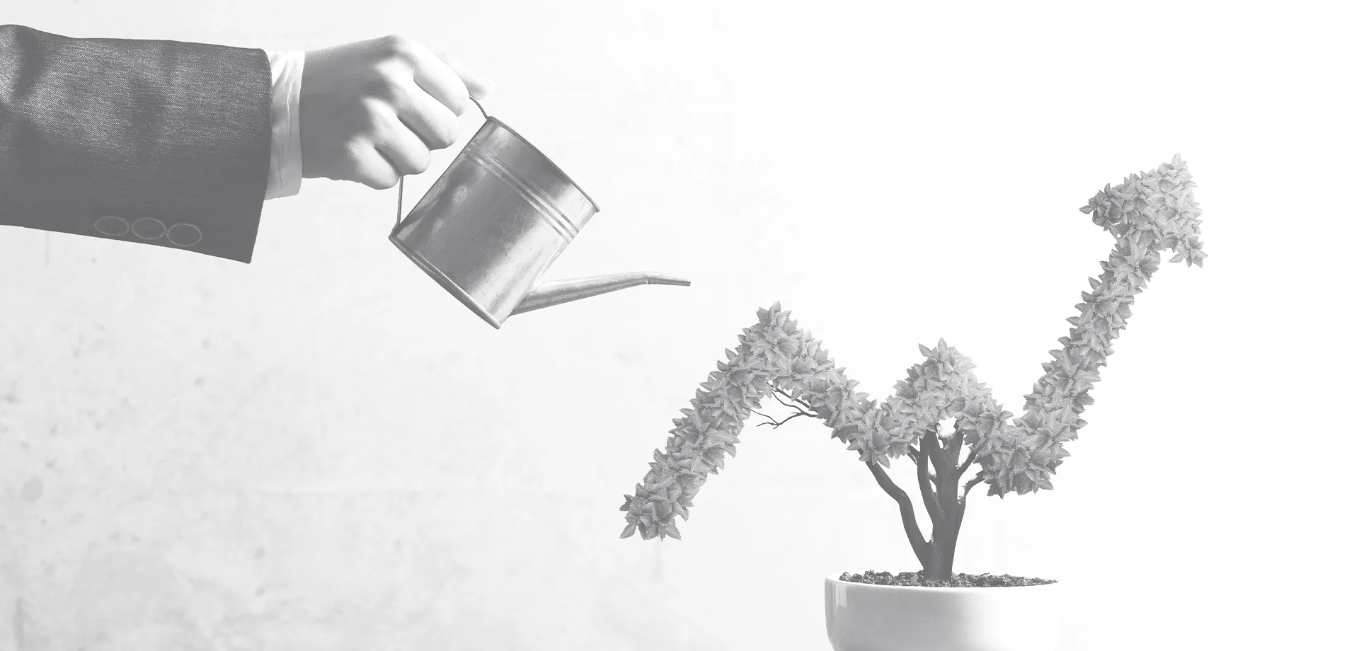 The 4 Best Tips to Grow Your Business in 2024